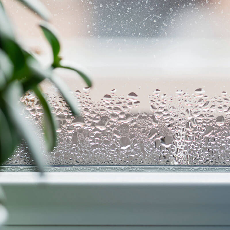 window with moisture